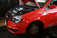 804 polo IMG_1522.jpg